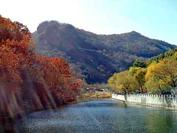 澳门天天好好免费资料，印江土家族苗族自治seo建站